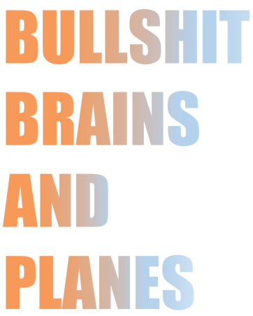image for BOP Professional Development Evening: Bullshit Brains and Planes 