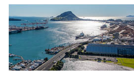 image for EVENT CANCELLED Bay of Plenty NZISM:  Port of Tauranga Tour 