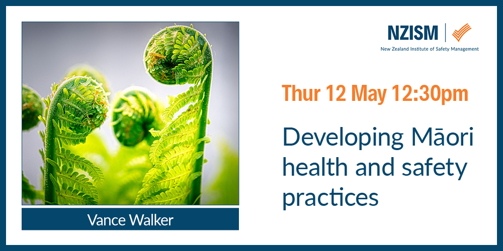 image for Webinar: Developing Maori health and safety practices   