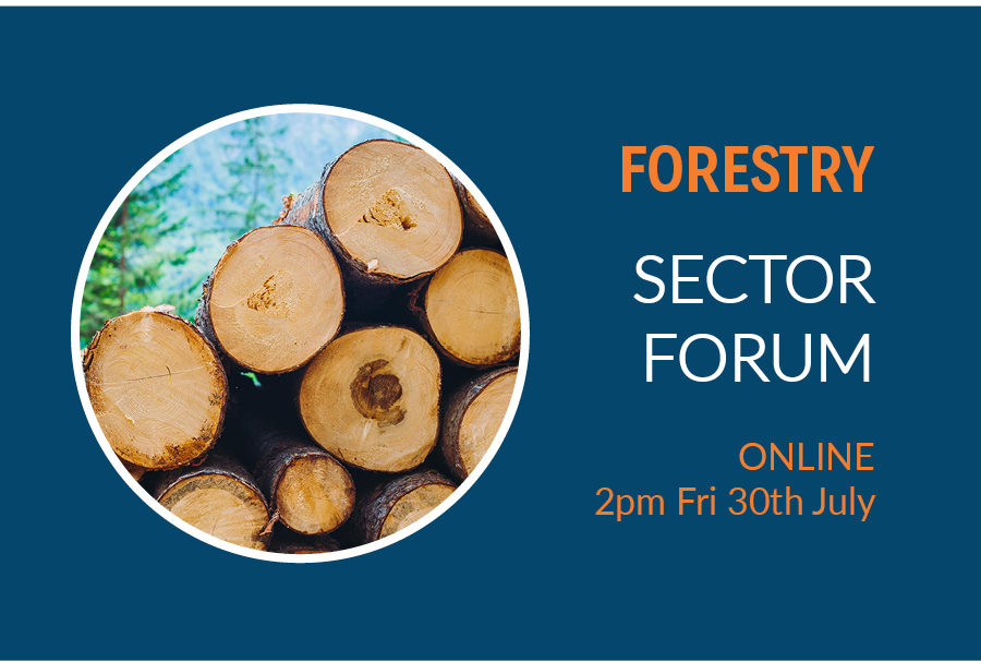 image for Sector Forum - Forestry