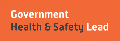 Government Health & Safety Lead Logo
