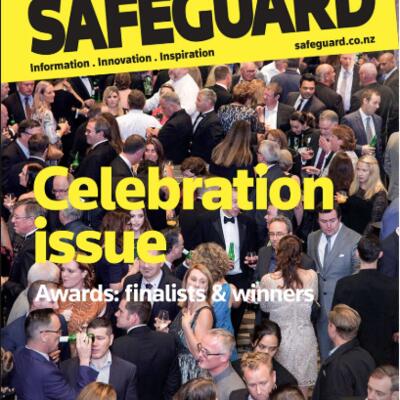 image of Safeguard Issue 163