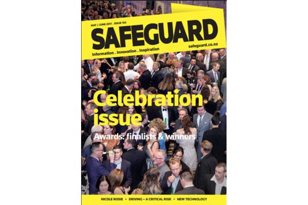 image of Safeguard Issue 163