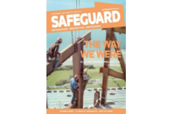image of Safeguard Issue 171