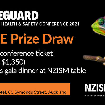 image of Free Prize Draw  - Safeguard Conference