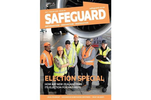 image of Safeguard Issue 176