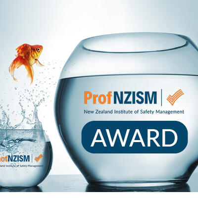 image of Practitioner to Professional Award