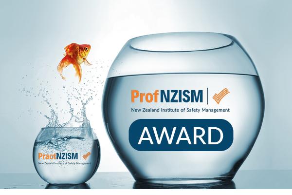 image of Practitioner to Professional Award