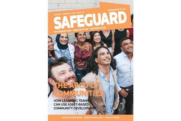 image of Safeguard Issue 173
