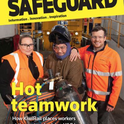 image of Safeguard issue 164