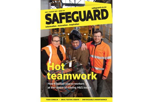 image of Safeguard issue 164