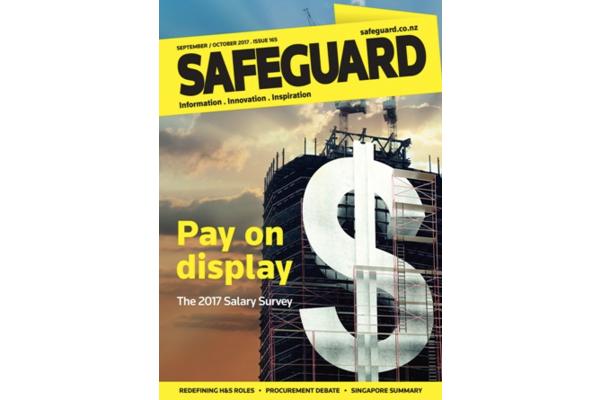 image of Safeguard Issue 165