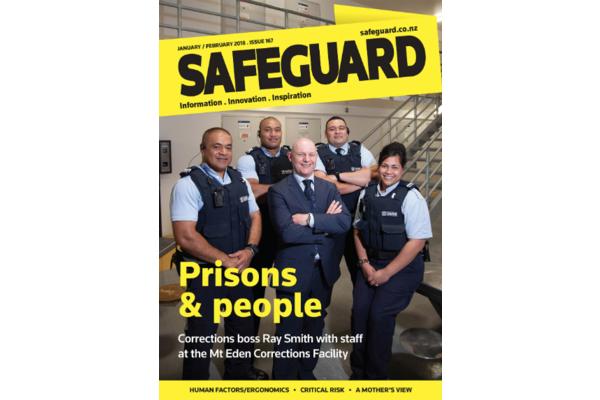 image of Safeguard Issue 167
