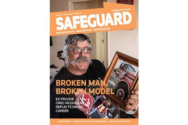 image of Safeguard Issue 174