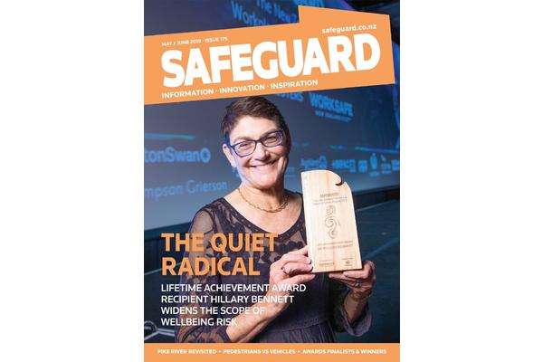 image of Safeguard Issue 175